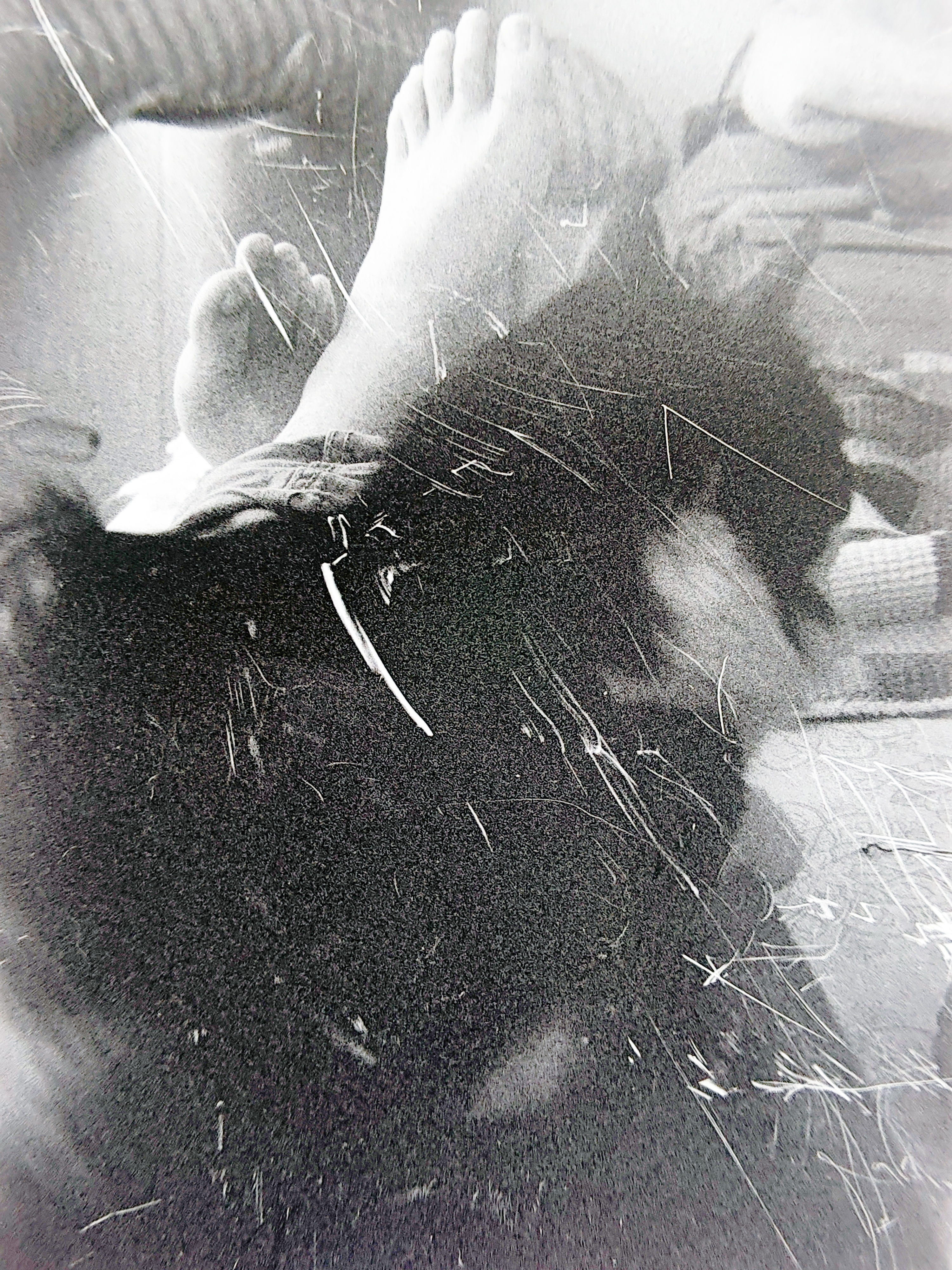 FED 5 — analógica 35mm Amarillos
